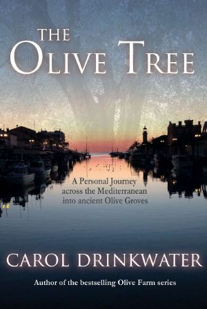 [The Olive Series 02] • The Olive Tree